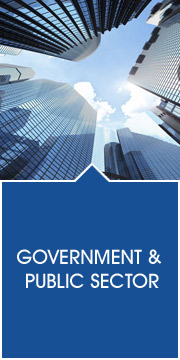 Government & Public Sector